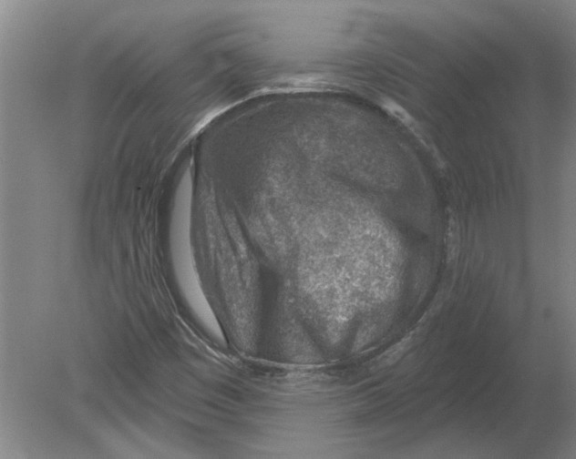 X0000080201449200612302325