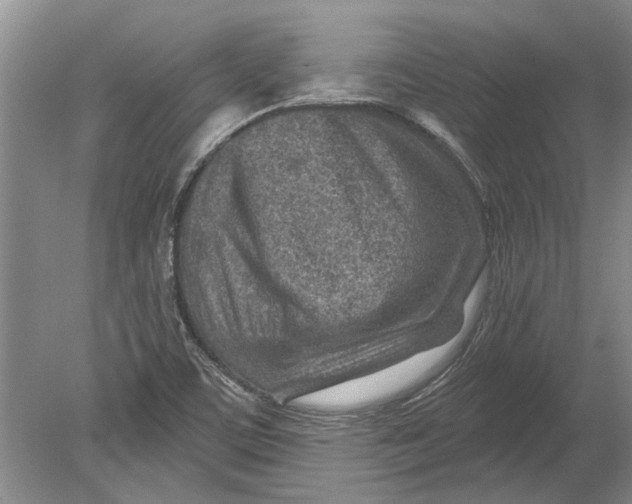 X0000080201459200612302325