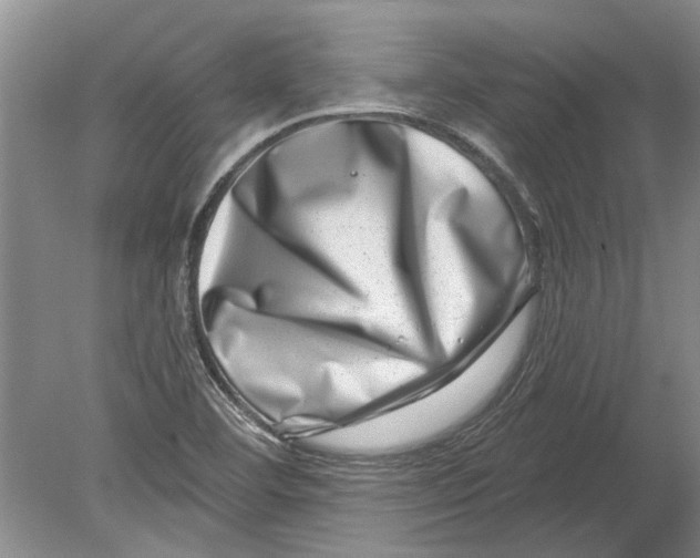 X0000080201460200612302325