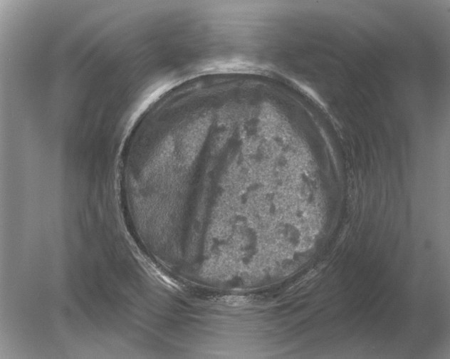 X0000080201463200612302325