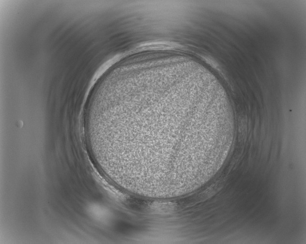 X0000080201466200612302325