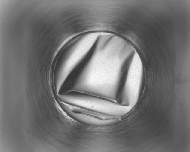 X0000080201468200612302325