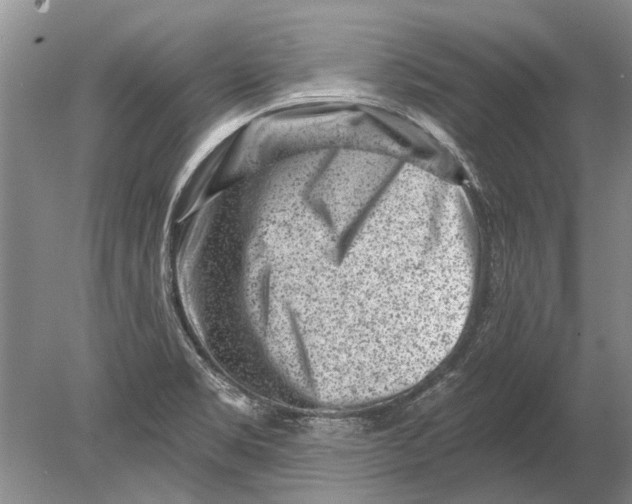 X0000080201469200612302325