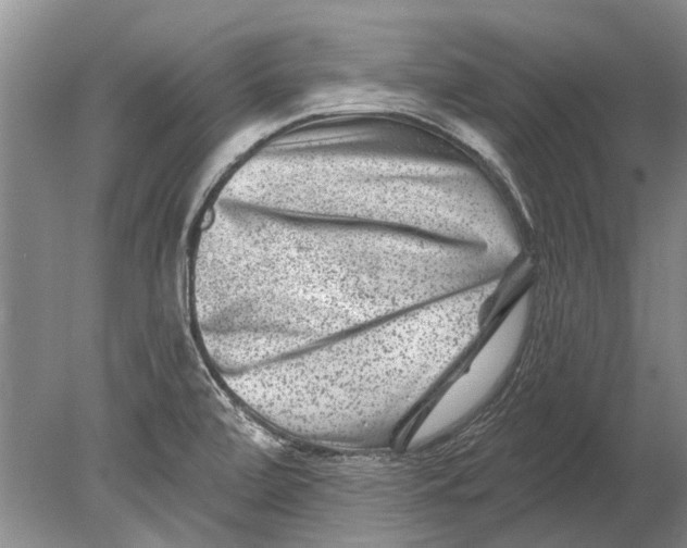 X0000080201472200612302325