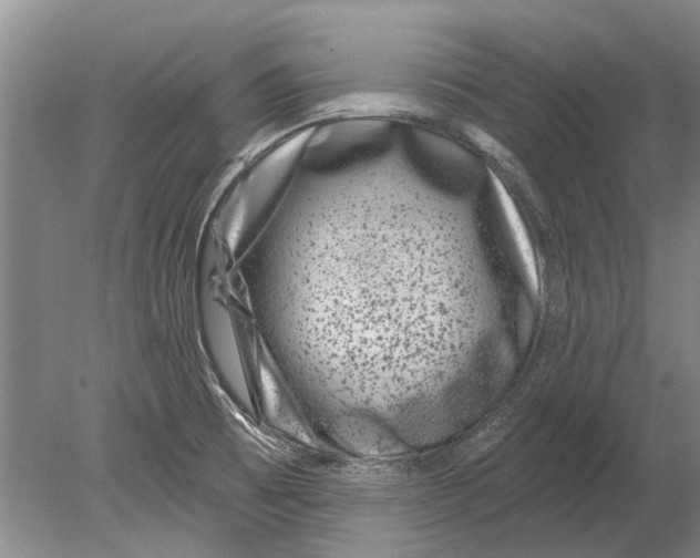 X0000080201473200612302325