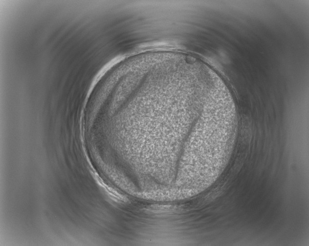 X0000080201474200612302325