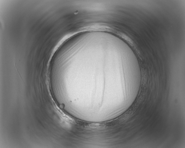 X0000080201478200612302325