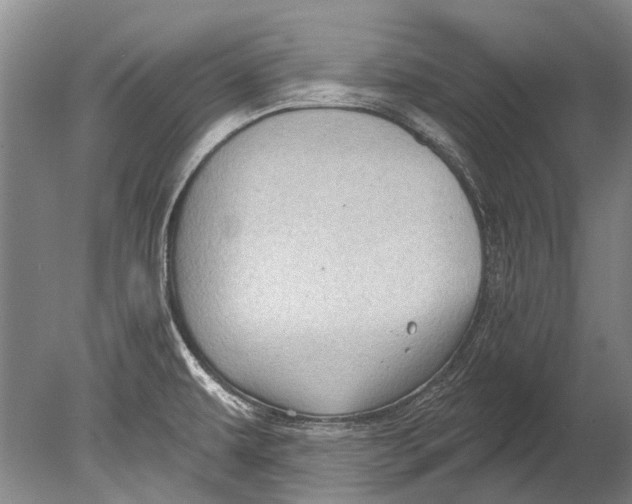 X0000080201479200612302325