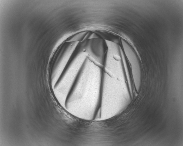 X0000080201480200612302325