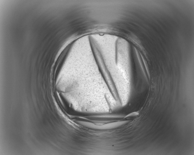 X0000080201483200612302324