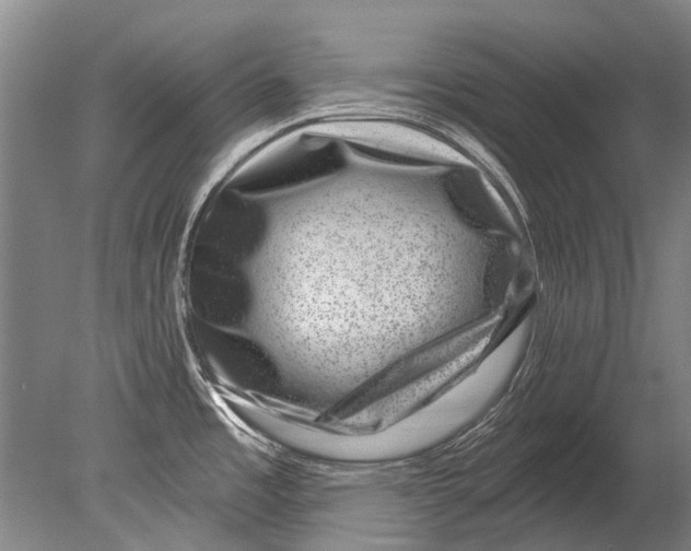 X0000080201485200612302324