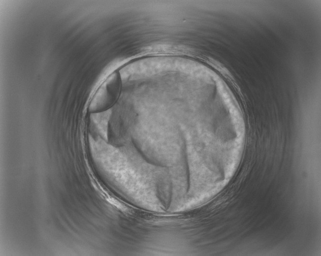 X0000080201486200612302324