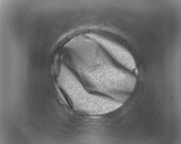 X0000080201494200612302324