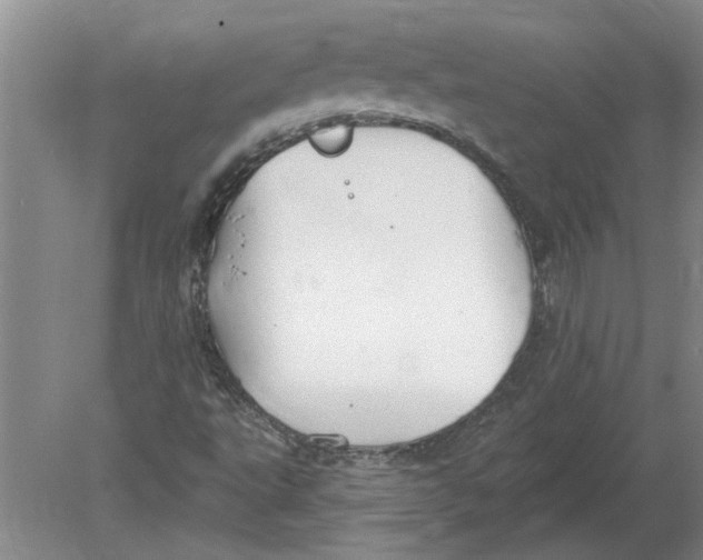 X0000080201495200612302324