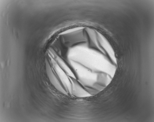 X0000080201496200612302324