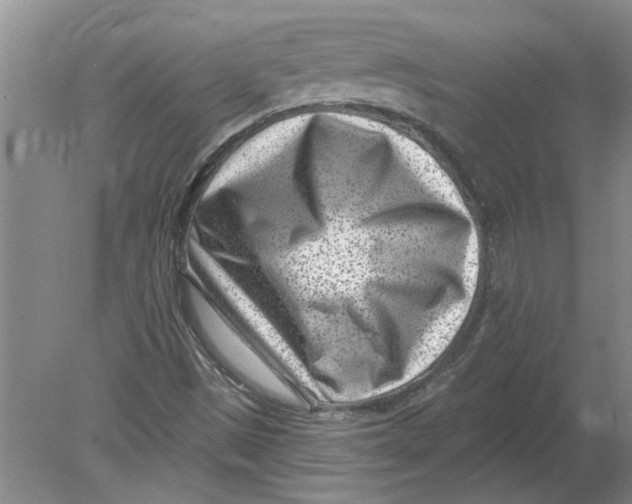 X0000080201497200612302324