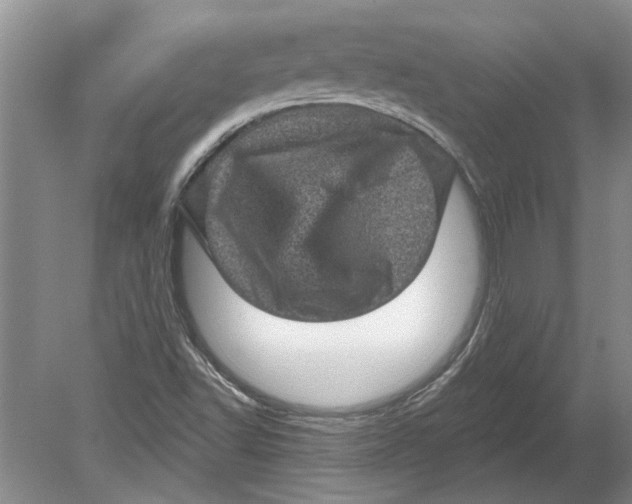 X0000080201502200612302324