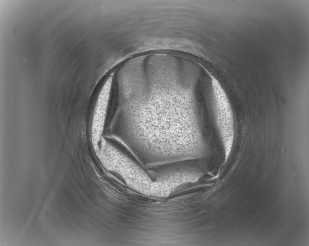 X0000080201505200612302324