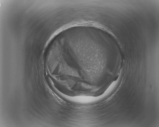 X0000080201506200612302324