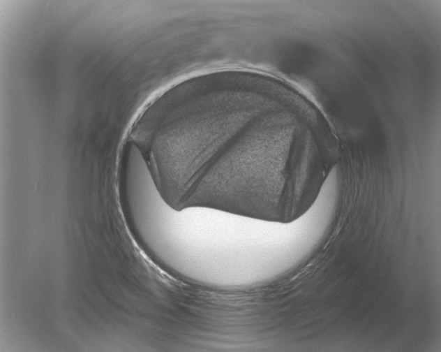 X0000080201508200612302324