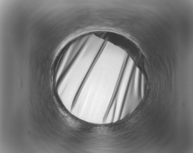 X0000080201511200612302324