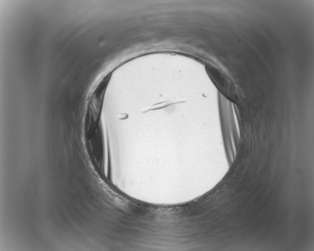 X0000080201512200612302324