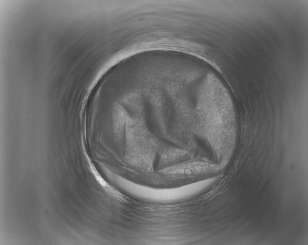 X0000080201515200612302324