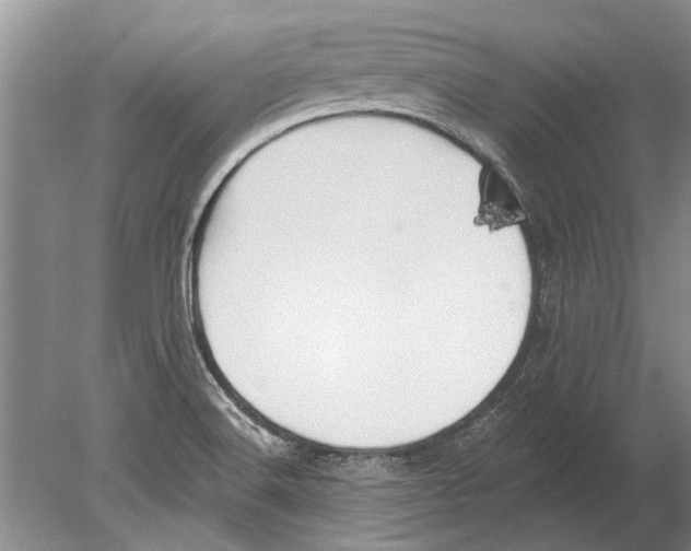 X0000080201516200612302324