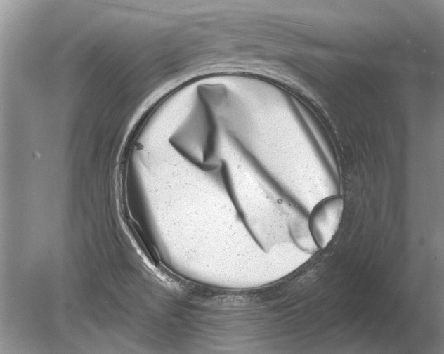 X0000080201517200612302324