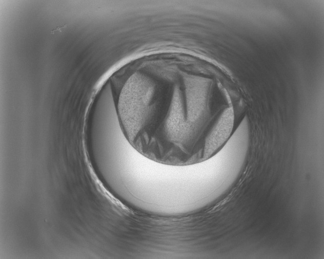 X0000080201518200612302324