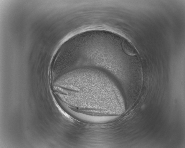 X0000080201519200612302324