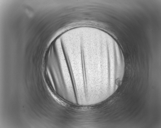 X0000080201523200612302324