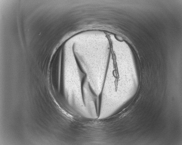 X0000080201525200612302324