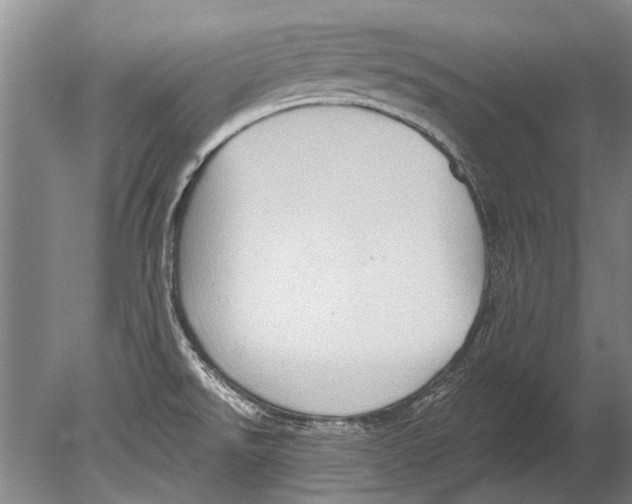 X0000080201526200612302324