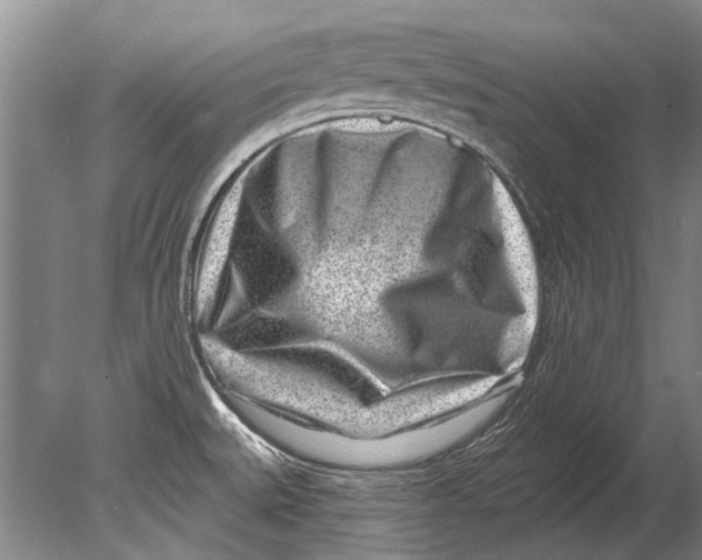 X0000080201527200612302324