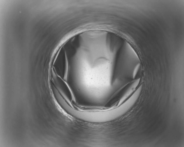 X0000080201528200612302324