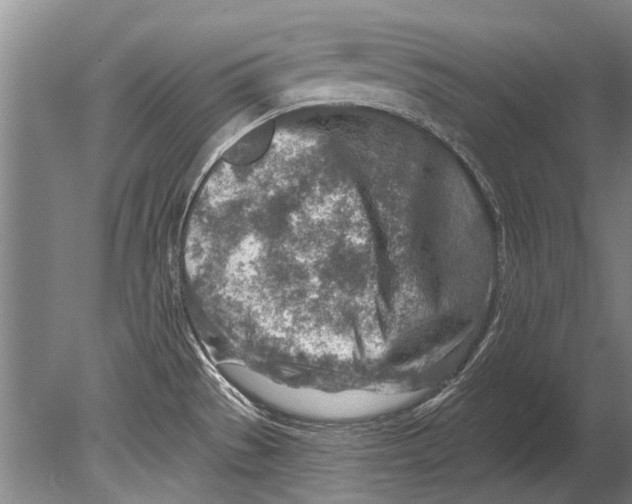 X0000080201529200612302324