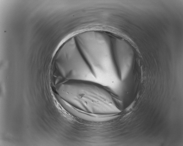 X0000080201530200612302324