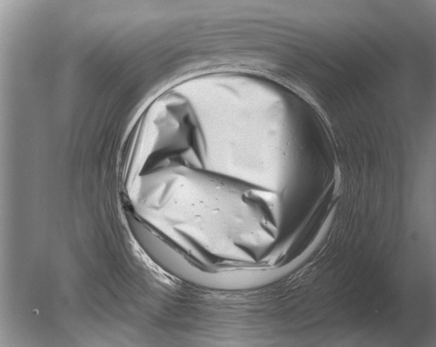 X0000080201532200612302324