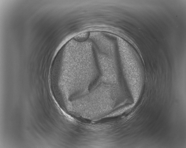 X0000080201533200612302324