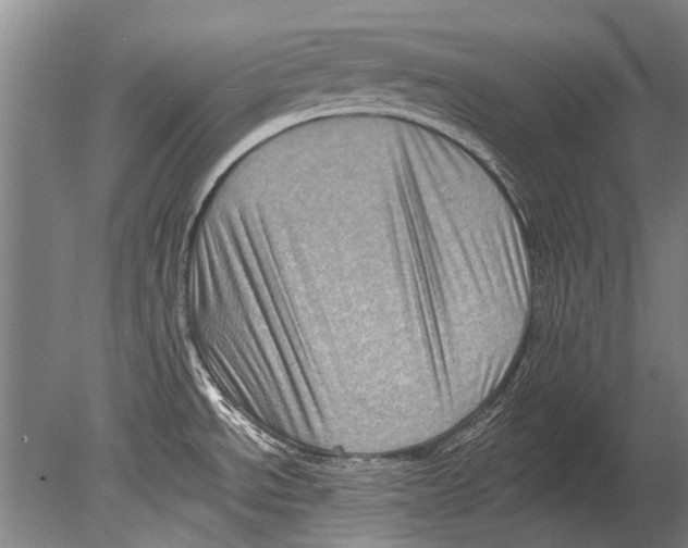 X0000080201534200612302324