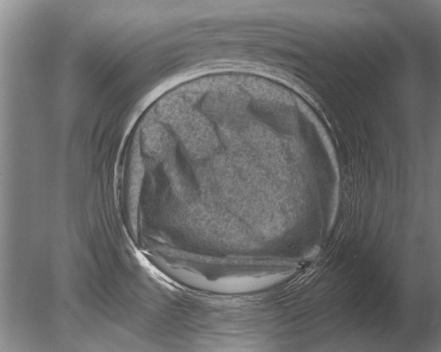 X0000080201535200612302324