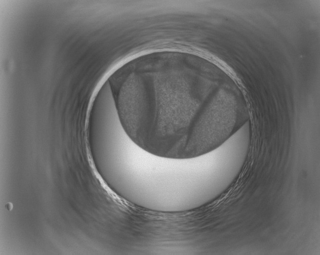 X0000080201536200612302324