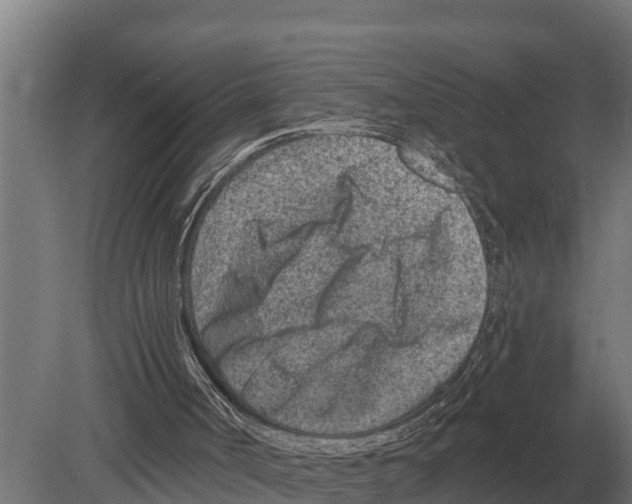 X0000080200002200701051801