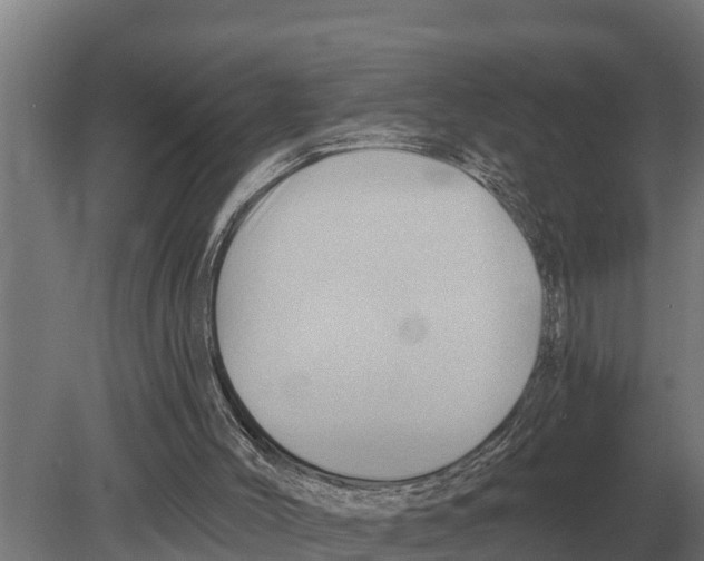 X0000080200004200701051801