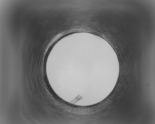 X0000080200008200701051801