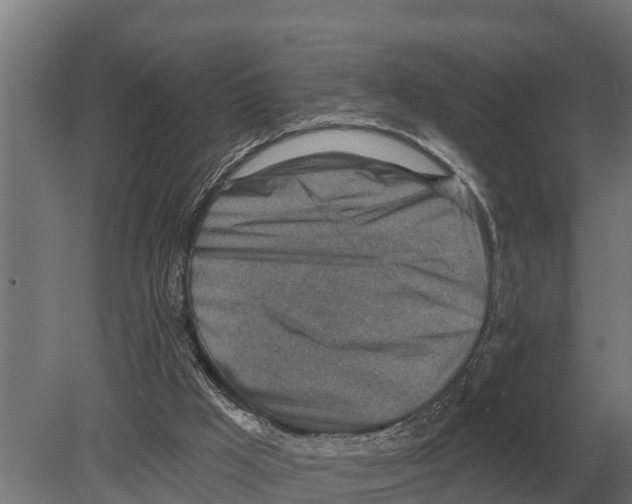 X0000080200009200701051801