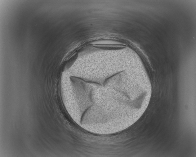 X0000080200010200701051800