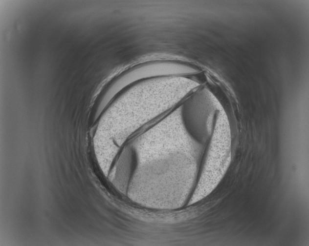 X0000080200015200701051800