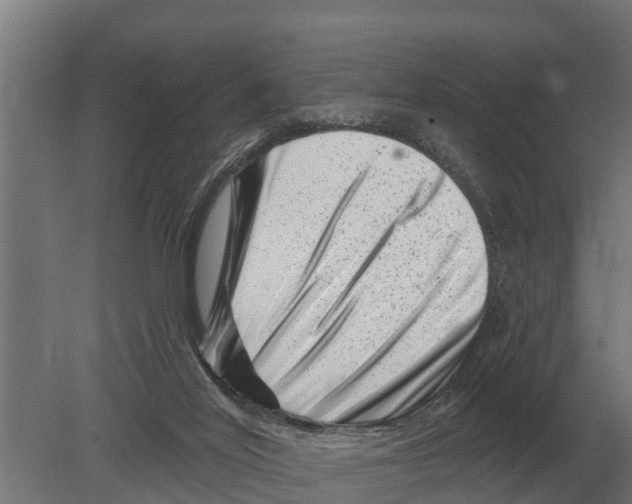 X0000080200020200701051800